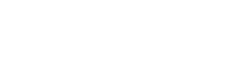 Local Government Consulting Group